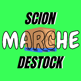 SCION DESTOCK B2B